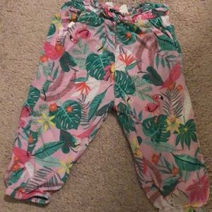 Summer infant pants
